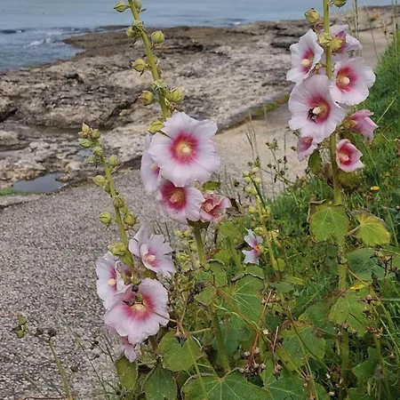 Pontaillac Сasa de vacaciones Royan
